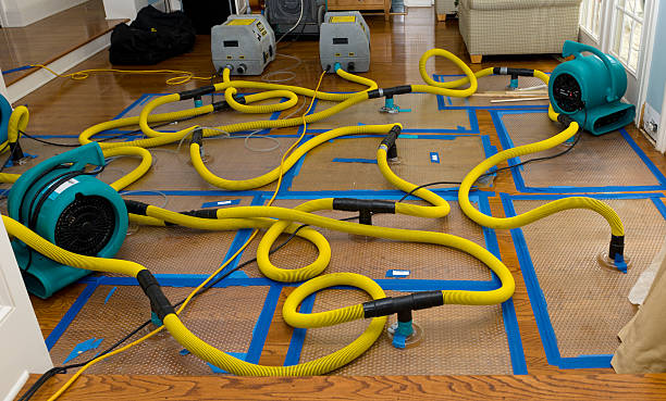 Professional Water Damage Repair technician working in Hillsborough, NH